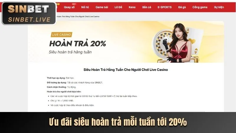 Tin tức thị trường cá cược